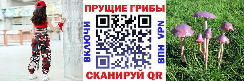 Галлюциногенные грибы ЛСД  цены   Карталы 